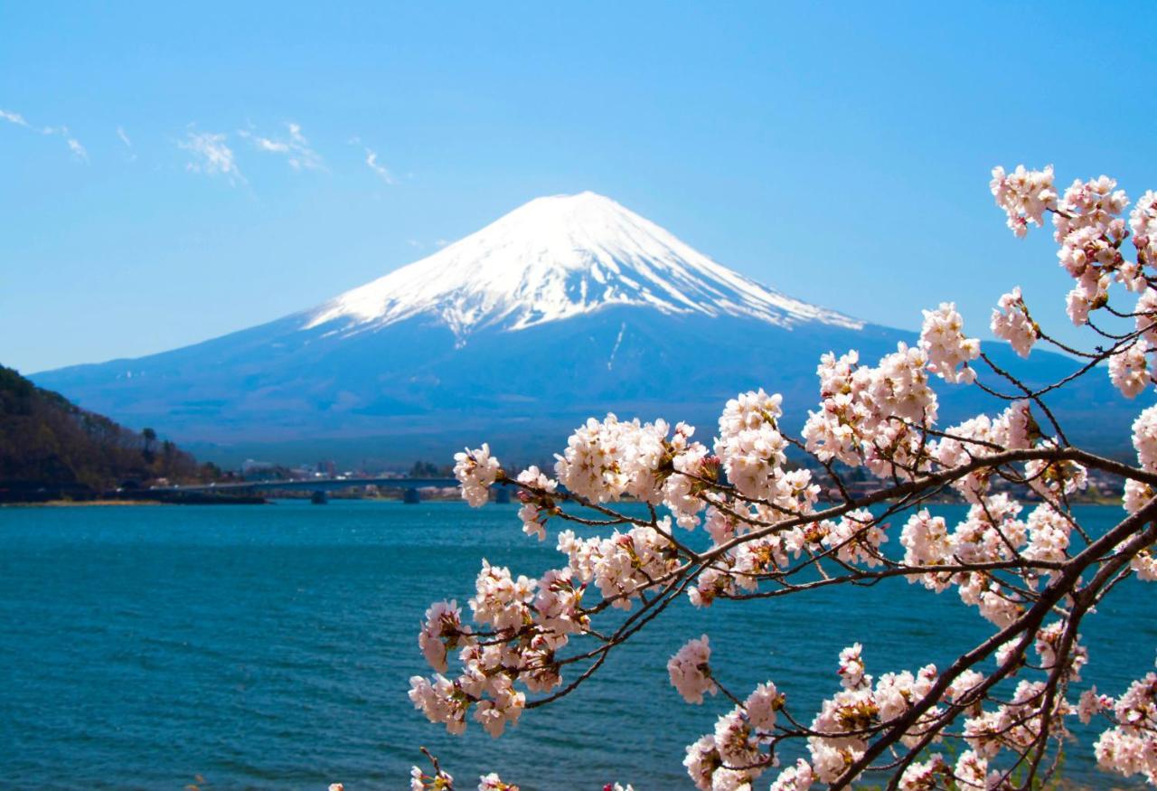 فيلا Erable Mt.Fuji "Zen" فوجيكاواجوتشيكو المظهر الخارجي الصورة